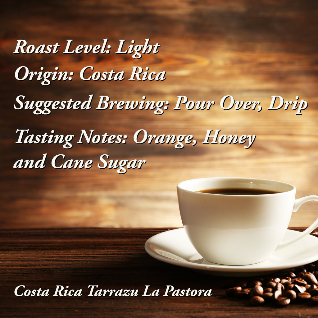 Costa Rica Tarrazu Coffee Info