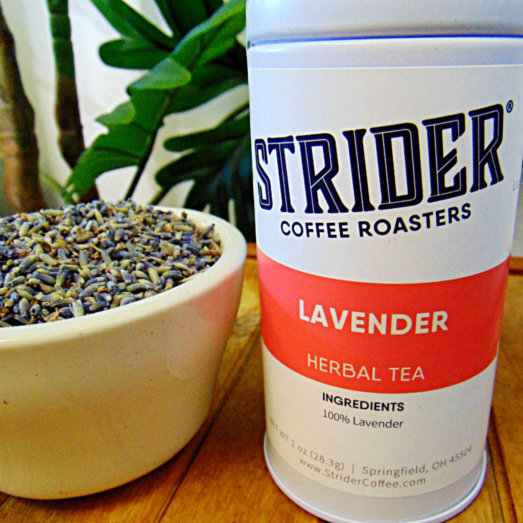 Lavender Infusion | Aromatic Herbal Tea - Strider Coffee Roasters -