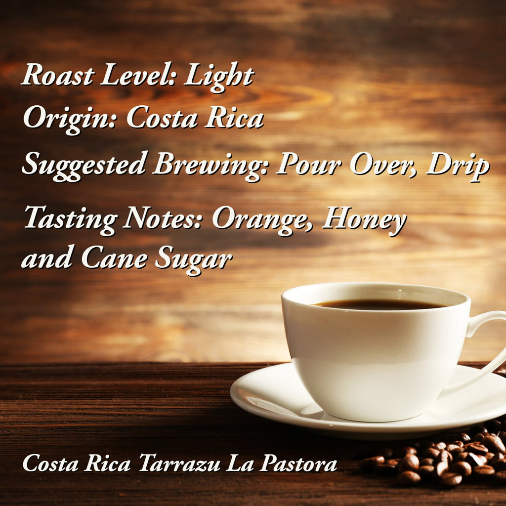 Strider Coffee Roasters, Costa Rica Tarrazu, Light Roast, Ground, Specialty Coffee, 12 ounce, Strider Coffee Roasters