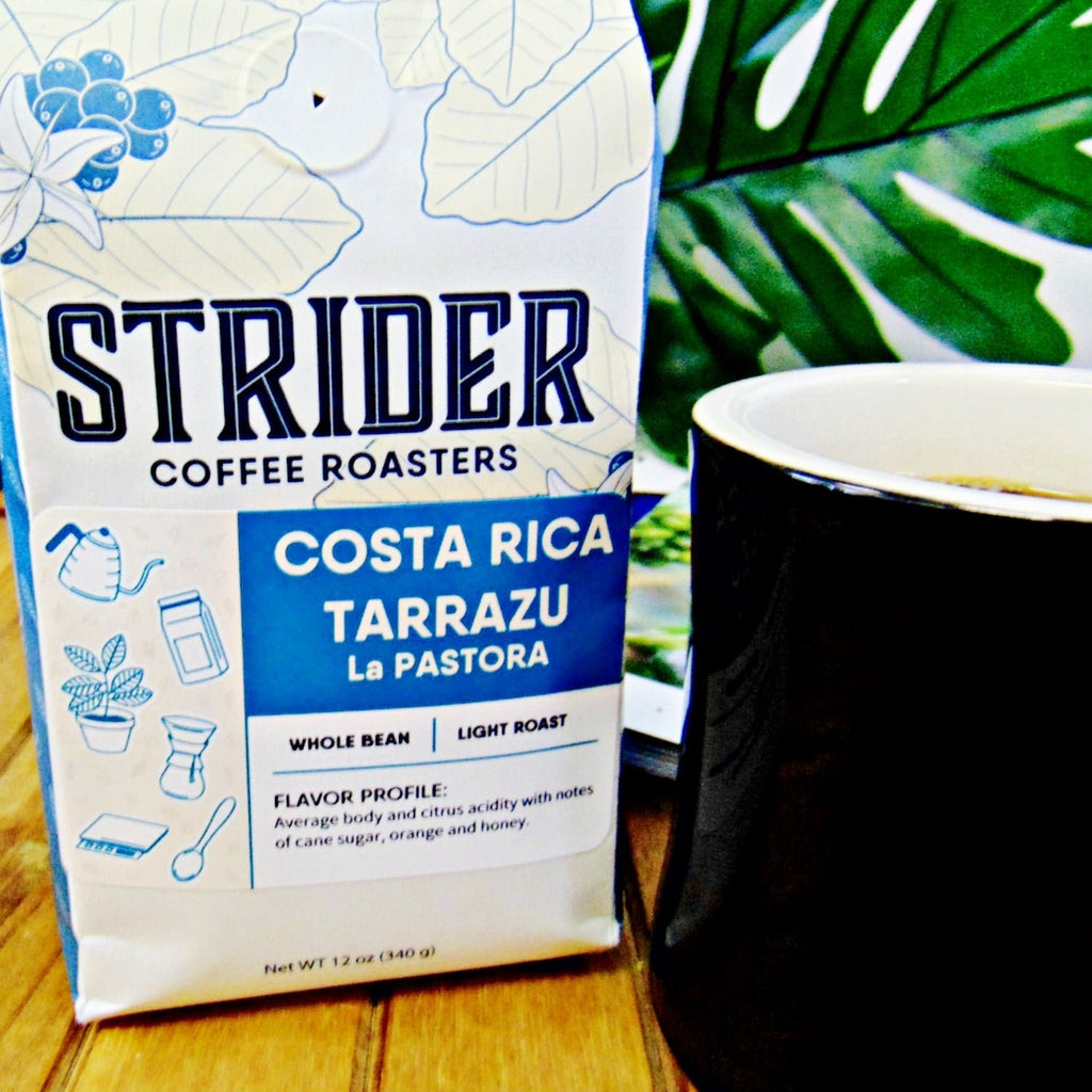 Costa Rica Tarrazu Specialty Coffee - 12 oz Whole Bean Light Roast Gift - Strider Coffee Roasters -