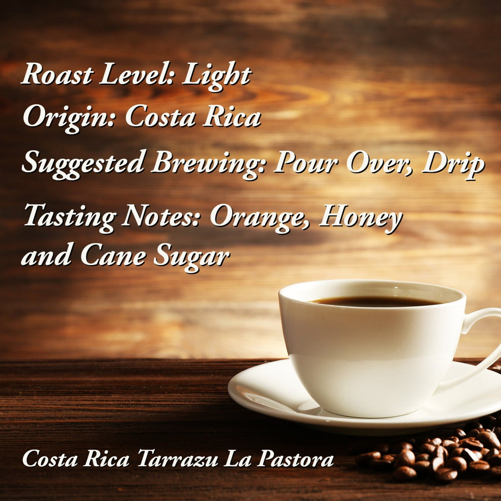 Costa Rica Tarrazu Specialty Coffee - 12 oz Whole Bean Light Roast Gift - Strider Coffee Roasters -