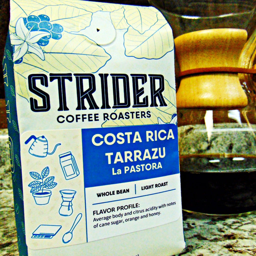 Tarrazu La Pastora | Costa Rica - Strider Coffee Roasters - 8500372970090